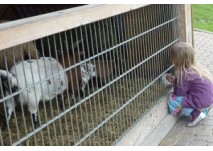 (c) Antje B. (c) Antje B.