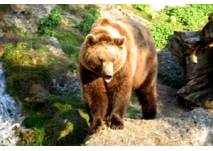 Wildpark Tiergarten Weilburg (c) Adriana Wildpark Tiergarten Weilburg