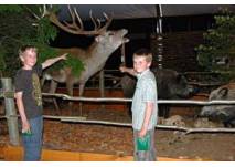 WildLife Usedom in Trassenheide