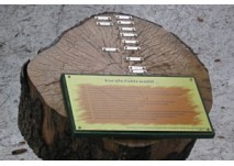 Geschichte Erlebnisweg Unken; copyright: Diana Geschichte Erlebnisweg Unken