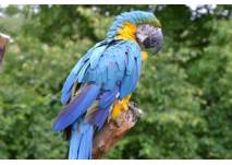 Vogel- und Tierpark Crailsheim (c) alex grom Vogel- und Tierpark Crailsheim (c) alex grom