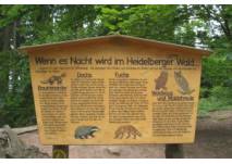 Infotafel am Walderlebnispfad in Heidelberg