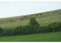 Wanderung Ronshausen