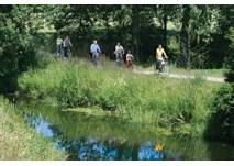 Werse Rad Weg