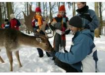 Winterlicher Familienausflug - Tierfütterung (c) Wildparadies Tripsdrill Winterlicher Familienausflug - Tierfütterung (c) Wildparadies Tripsdrill