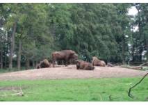 Wildpark Pforzheim (c) alex grom