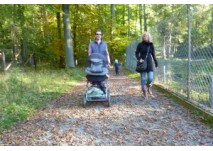 Wildpark Edersee (c) Antje Bayer Wildpark Edersee