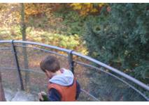 Kind im Herbstwald