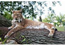 Tierpark Wismar