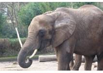 Zoo Wuppertal, copyright: Diana Zoo Wuppertal