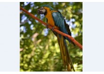 Zu Besuch im  Tierpark Zittau