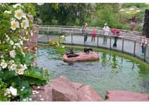 Zoo Halle (c) Zoologischer Garten Halle GmbH Zoo in Halle