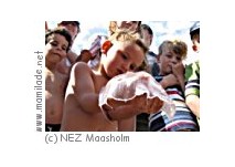 Maasholm Naturerlebniszentrum