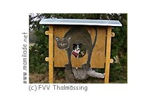 Thalmaessing Spasswanderweg Spasswanderweg Thalmaessing