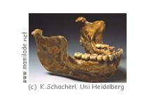 Eiszeit-Ausstellung in Stuttgart