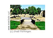Köllerbach Burgruine Bucherbach