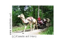 Ebhausen-Rotfelden Kamel-Kutschfahrten