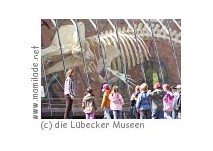 Lübecker Museen Familiensonntag