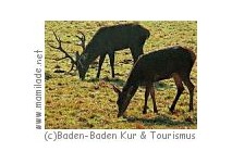 Wildgehege Baden-Baden Baden-Baden Wildgehege