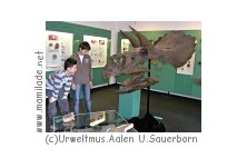 Urweltumuseum Aalen Aalen Urweltmuseum