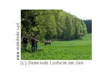 Waldsaumpfad in Losheim am See Losheim am See Waldsaumpfad