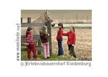 Riedenburger Erlebnisbauernhof Erlebnisbauernhof Riedenburg