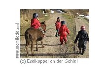 Kindergeburtstag auf der Eselkoppel an der Schlei Eselkoppel an der Schlei Kindergeburtstag