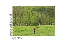 Kind auf der Wiese