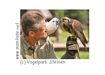 Vogelpark Steinen Sommer-Ferienprogramm