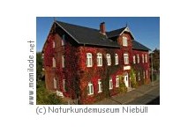 Naturkundemuseum Niebüll Niebüll Naturkundemuseum