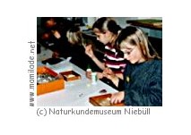 Kindergeburtstag im Naturkundemuseum Niebüll Niebüll Naturkundemuseum Kindergeburtstag