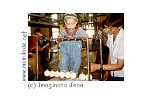 Imaginata Jena Imaginata Jena