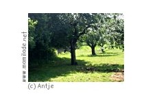 Schloss Ritzebüttel Schloss Ritzebüttel