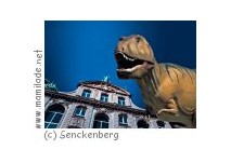 Senckenberg