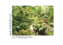Palmengarten Frankfurt Palmengarten
