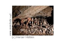 Baumannshöhle Baumannshöhle