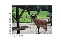 Wildpark Neuhaus Wildpark Neuhaus