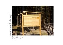 Urwaldstieg beim Brocken Urwaldstieg beim Brocken