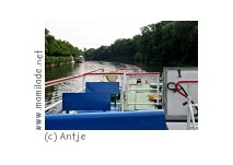 Mainufer in der City Frankfurt