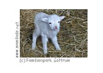 Familienpark Sottrum Familienpark Sottrum