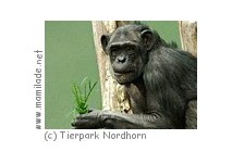 Tierpark Nordhorn Tierpark Nordhorn