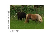 Wildpark und Haustierpark Bremervörde-Spreckens