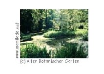 Der Alte Botanische Garten in Göttingen