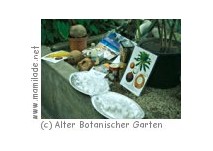 Kindergeburtstag im Alten Botanischen Garten Göttingen