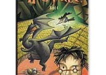 Kinderbuch - Harry Potter und der Feuerkelch- kl