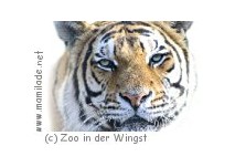 Zoo Wingst