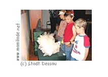 Kindergeburtstag im Museum für Naturkunde in Dessau Kindergeburtstag im Museum für Naturkunde in Dessau