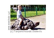 Kindergeburtstag Tierpark Chemnitz Kindergeburtstag Tierpark Chemnitz