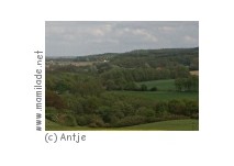 Naturpark Dübener Heide /Antje B.
