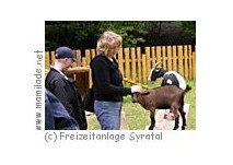 Freizeitanlage Syratal Plauen